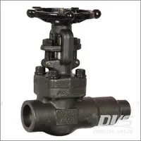 Extended Body Gate Valve, A105N, 1 Inch, Class 800, Male NPT