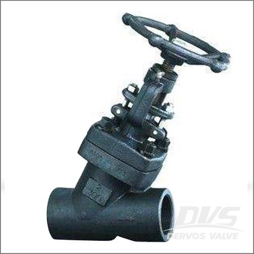 ASTM A182 F316 Globe Valve, BS 1873, Y Type, 2 Inch, 300 LB, NPT