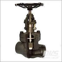 Socket Welded Globe Valve, ASME B16.34, BS 5352, Forged, 1/2-4 Inch