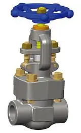 Threaded Forge Globe Valve, ASTM A105N, 1/2 Inch, Class 800, NPT