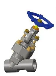 Y Type Forged Globe Valve, ASTM A105N, CL800, API 602, ASME B16.34