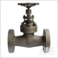 Integral Flanged Globe Valve, Class 150, 2 Inch, A105N, OS&Y