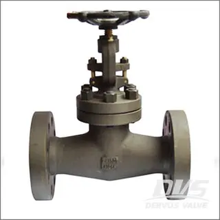 Integral Flanged Globe Valve, Class 150, 2 Inch, A105N, OS&Y