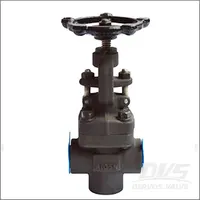T-Joint Welded Globe Valve, A105N, 1 Inch, Class 800, T Pattern