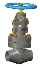 Bolted Bonnet Forged Globe Valve, A182 F304L, 1/2-4 IN, CL1500-2500