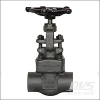 ASTM A105N Globe Valve, 1 Inch, Class 800 LBS, Butt Weld, NPT