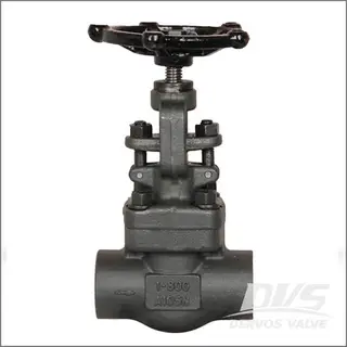 ASTM A105N Globe Valve, 1 Inch, Class 800 LBS, Butt Weld, NPT