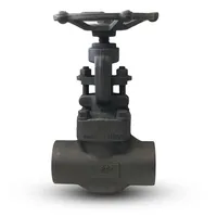 Forged Steel Globe Valves, API 602, ANSI B16.34, 1/2-2 Inch