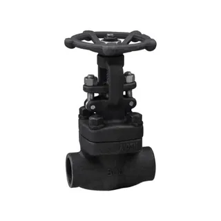 API 602 Forged Steel Globe Valve, 1/2-2 Inch, 150-2500 LB