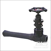 Integral Extended Body Globe Valve, ASTM A105N, 1 Inch, Class 800