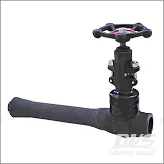 Integral Extended Body Globe Valve, ASTM A105N, 1 Inch, Class 800