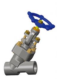 Y-Globe Valve Pressure-Seal Bonnet, ASTM A105N, 1 Inch, Class 1500