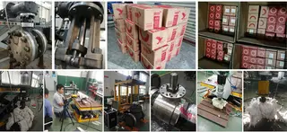 Magpie Valve Vision and Reinterpretation of Valves