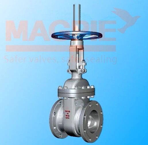 API Cast Steel Gate Valve