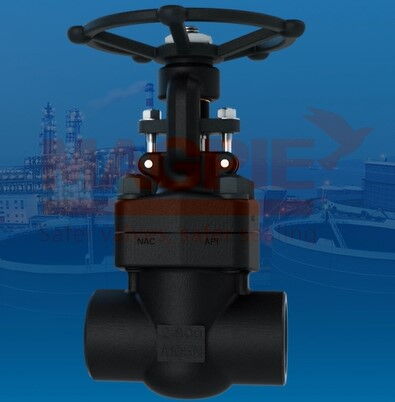 Forged Steel Gate Valve