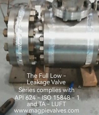 Forged Valves with Low emission Packing