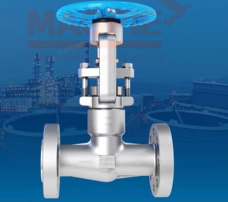 High-Temperature and High-Pressure Hydrogenation Globe Valve