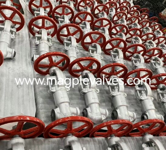 Low-emission Forged Valves in Stock