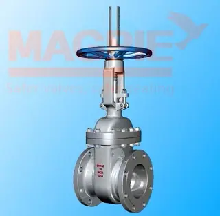 API Cast Steel Gate Valve