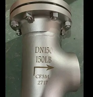 Cast Stainless Steel Filter Valve