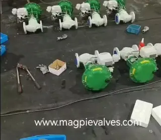 Assembly of Pneumatic Control Valves