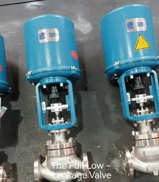 ISO 15848-1 C33 Low-emission Control Valves