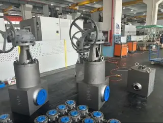 ISO 15848-1 Self-sealing High-Temperature High-Pressure Power Station Valve