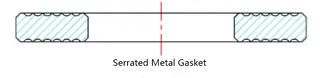 Serrated Metal Gaskets