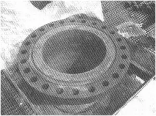Feed Flange of the Reactor
