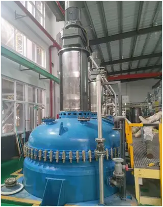 Reactor Vessel Valves
