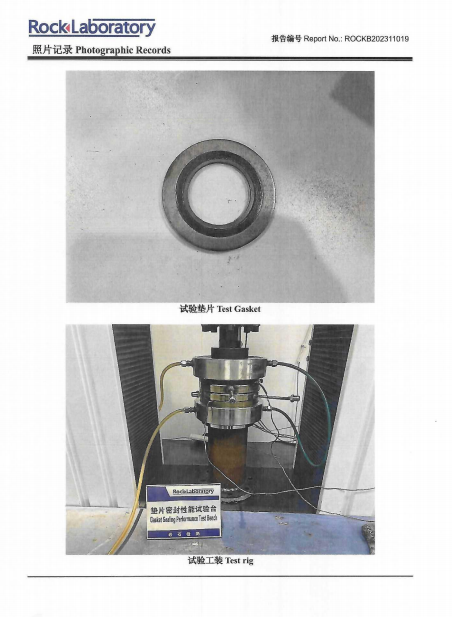 M12 Spiral Wound Gasket Prepared for Low Emission Test