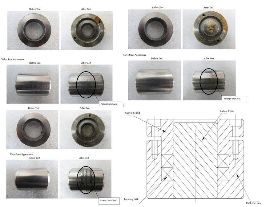 Packing Ring Graph Packing Ring Performance Test Report | Magpie