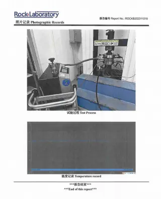 M12 Spiral Wound Gaskets During Low Emission Test