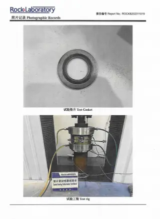 M12 Spiral Wound Gasket Prepared for Low Emission Test