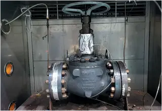 Test of Valves with Low-Emission Graphite Packing