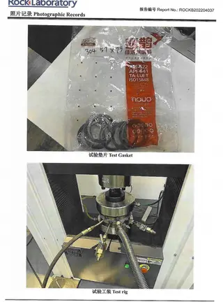 M16 Spiral Wound Gasket Prepared for Low Emission Test