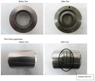 Appearance of No. 18010633-2 (Ordinary Graphite)