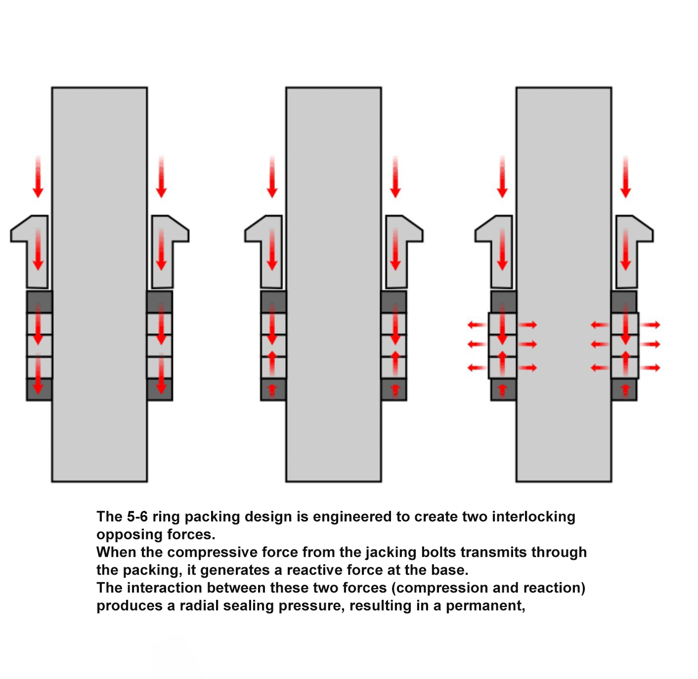 5-6 ring Packing Design Principle