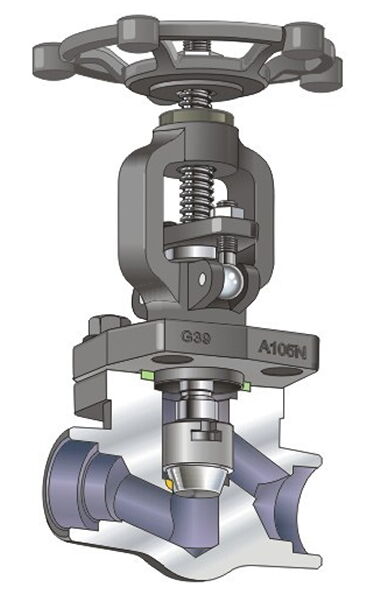 ASTM A105N Forged Valve