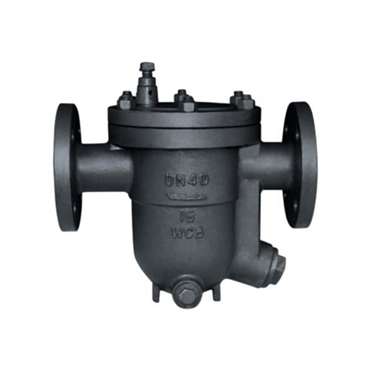 Large-Diameter Steam Trap