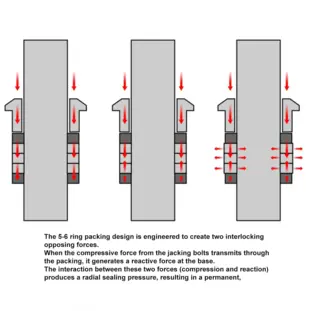 5-6 ring Packing Design Principle