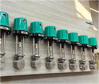 High-Temperature, High-Pressure, Low-Flow Needle Valve for Refineries