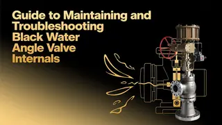 Guide to Maintaining and Troubleshooting Black Water Angle Valve Internals