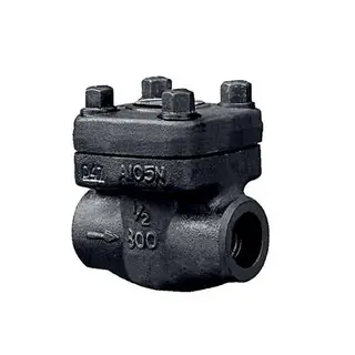 Swing Check Valve
