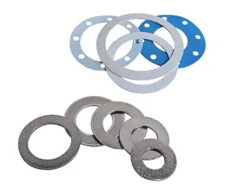 How to Choose the Right Gasket: A Comprehensive Guide