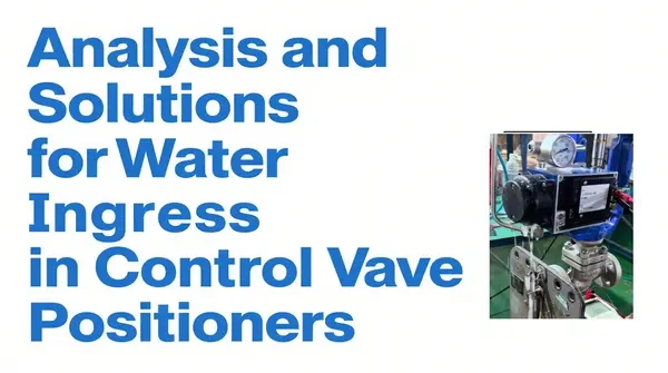 Analysis and Solutions for Water Ingress in Control Valve Positioners ...