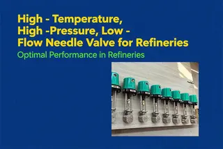 High-Temperature, High-Pressure, Low-Flow Needle Valve for Refineries