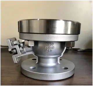 Bottom-Mounted Eccentric Ball Valves