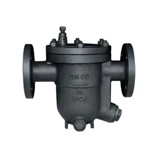 Large-Diameter Steam Trap