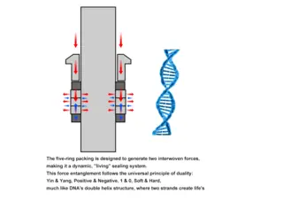 5-ring Packing Design Principle